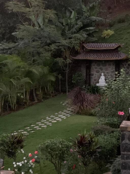 Soul Tree Deluxe Villa 106 Лаваса Екстер'єр фото